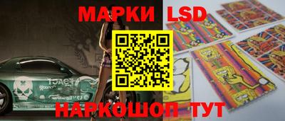 гашик Донецк