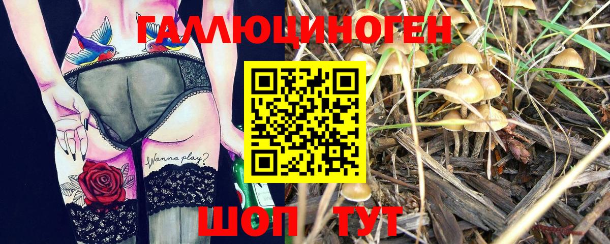 Галлюциногенные грибы мицелий Мыски