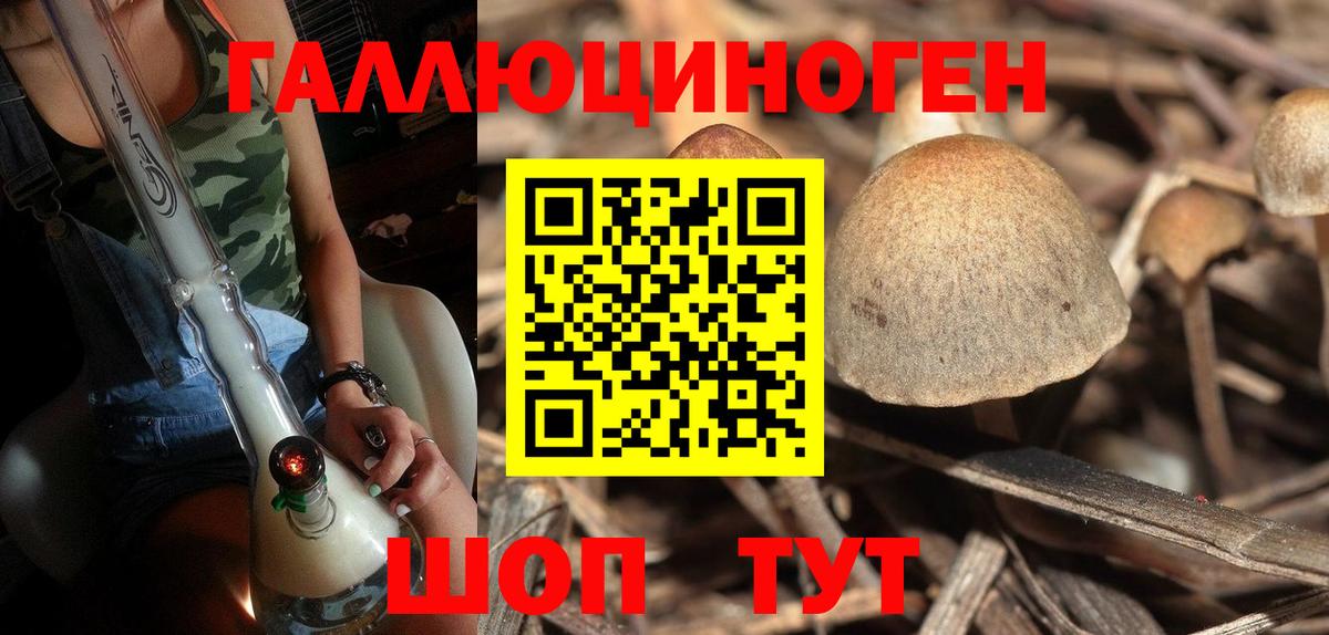 Мыски  Галлюциногенные грибы мицелий  Вход с VPN  Галлюциногенные грибы Cubensis 